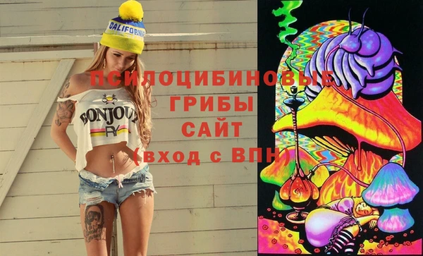 гидропоника Аркадак