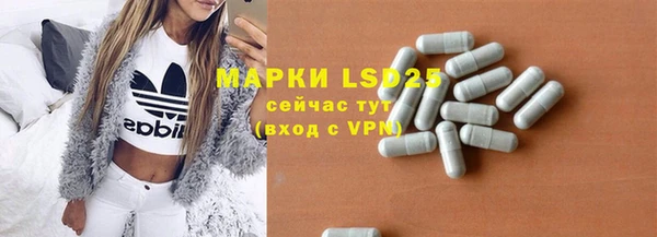 ГАЛЛЮЦИНОГЕННЫЕ ГРИБЫ Арсеньев