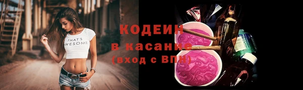 ГАЛЛЮЦИНОГЕННЫЕ ГРИБЫ Арсеньев
