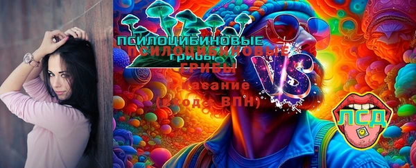 стафф Армянск
