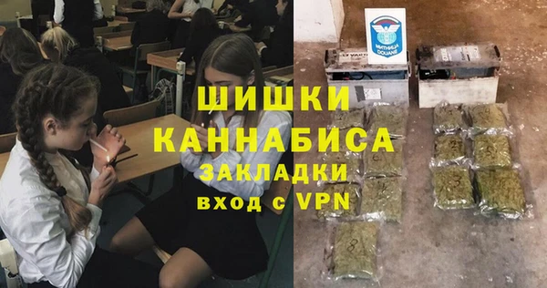 ГАЛЛЮЦИНОГЕННЫЕ ГРИБЫ Арсеньев
