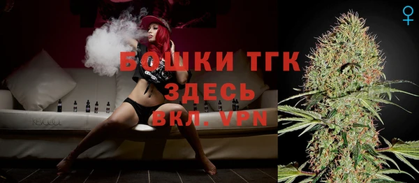 ГАЛЛЮЦИНОГЕННЫЕ ГРИБЫ Арсеньев
