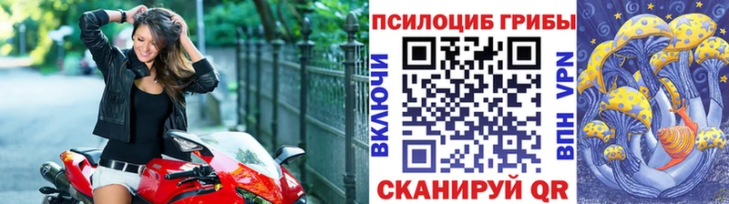 Галлюциногенные грибы Psilocybe Маркс